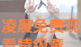 免费簧片视频,轻松掌握音乐制作技巧