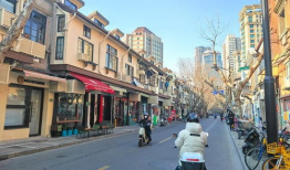 上海街,穿越百年繁华，探寻城市记忆的足迹